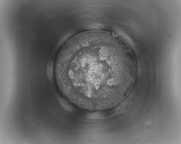 X0000113980058200910091326