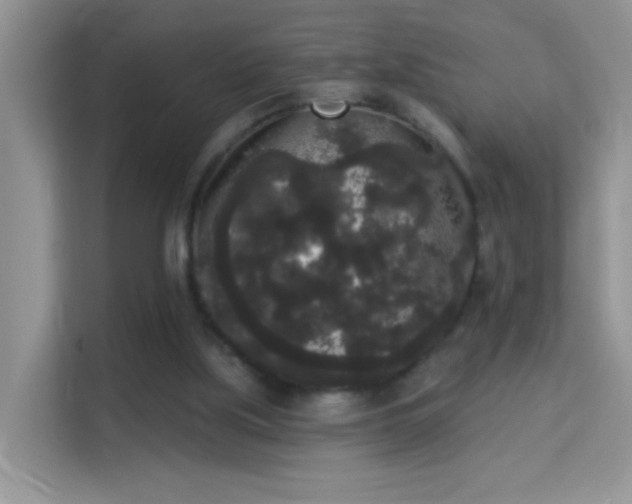 X0000113980059200910091326