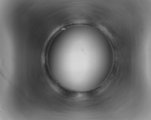 X0000113980060200910091326