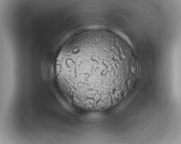 X0000113980061200910091326