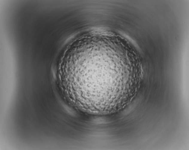 X0000113980062200910091326