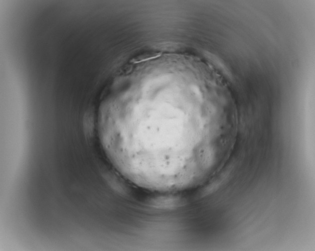 X0000113980065200910091326