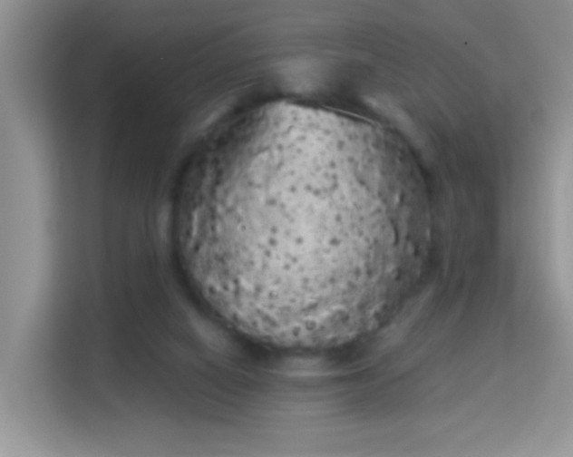 X0000113980066200910091326