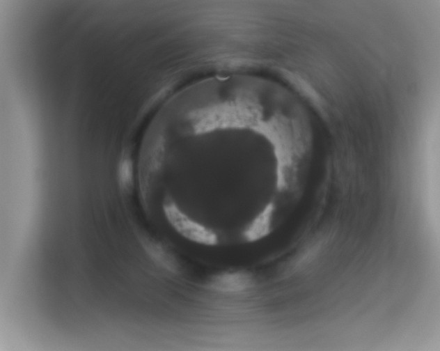 X0000113980067200910091326