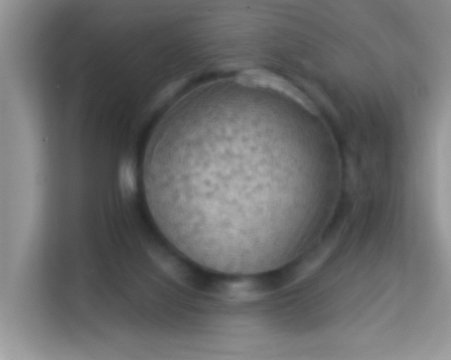 X0000113980068200910091326