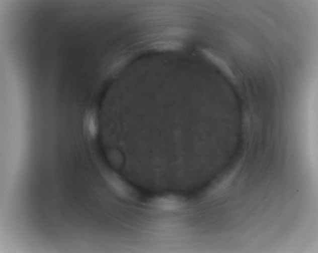 X0000113980069200910091326