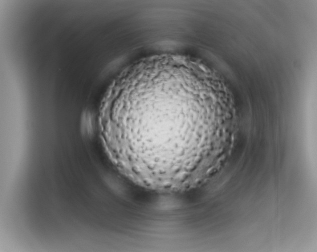 X0000113980070200910091326