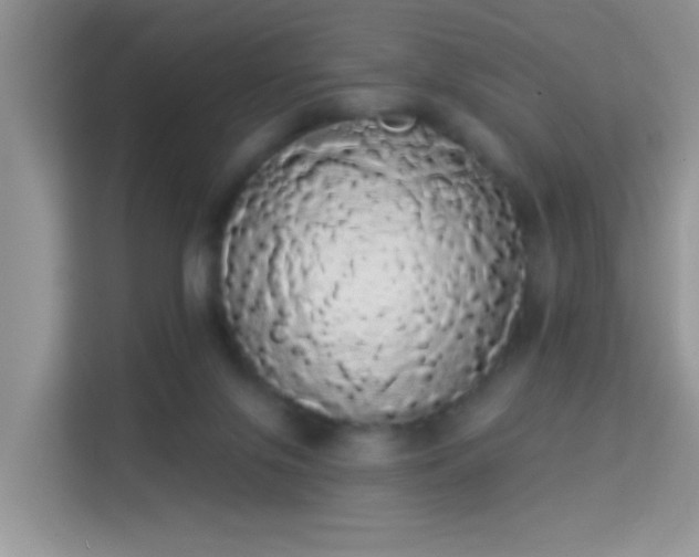 X0000113980071200910091326