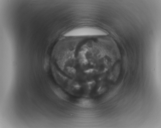 X0000113980073200910091326