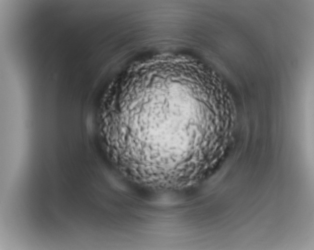 X0000113980074200910091326