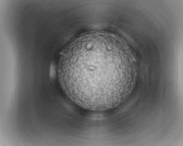 X0000113980075200910091326