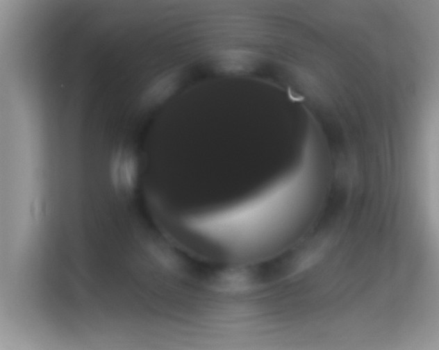 X0000113980076200910091326