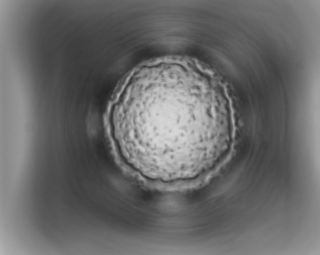 X0000113980077200910091326