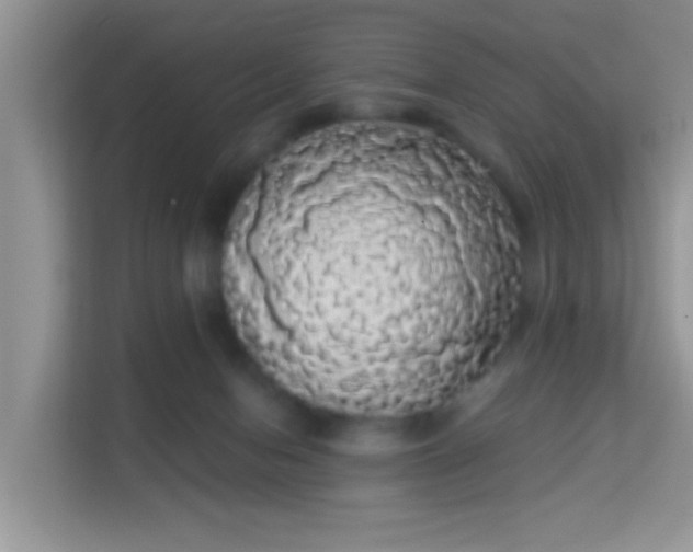 X0000113980078200910091326