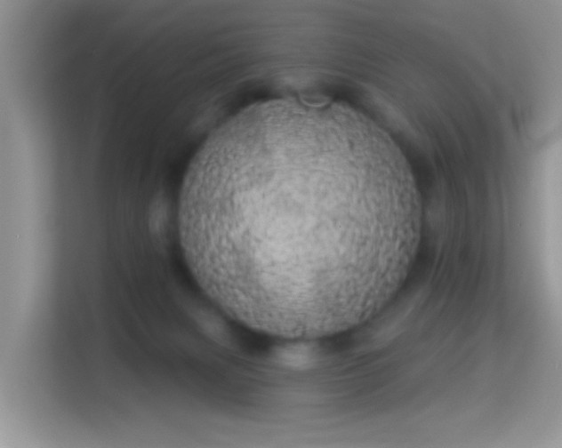 X0000113980079200910091326