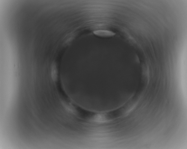 X0000113980080200910091326