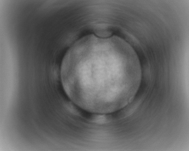 X0000113980083200910091326