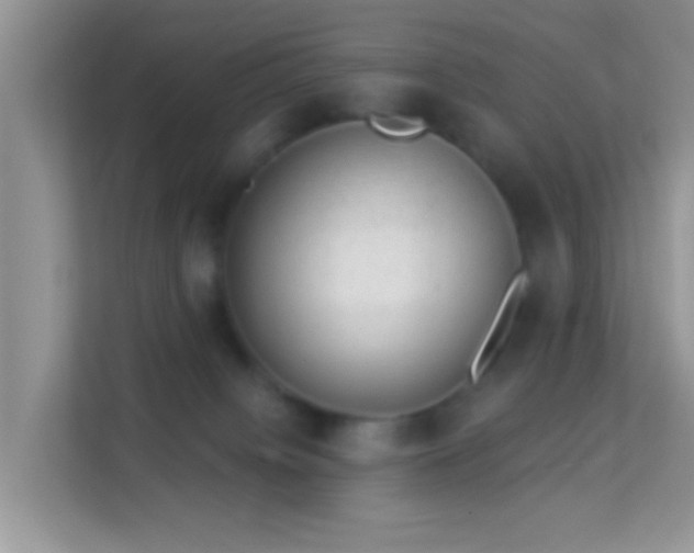 X0000113980084200910091326