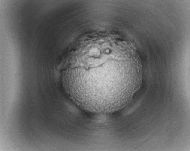 X0000113980085200910091326