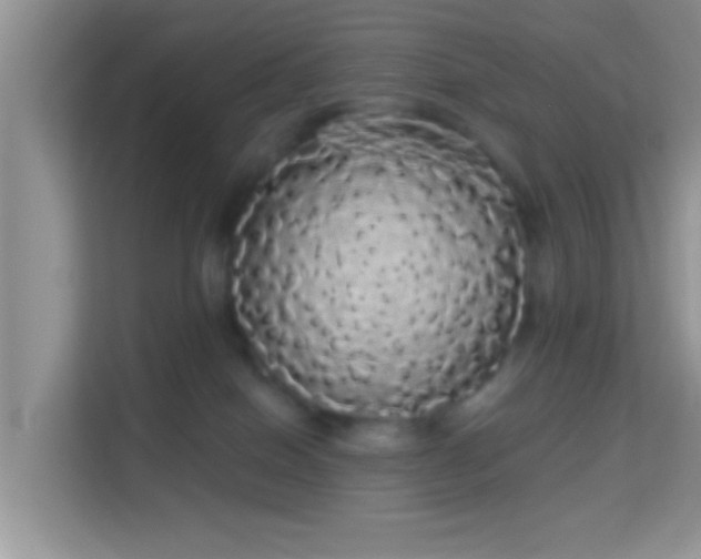 X0000113980086200910091326