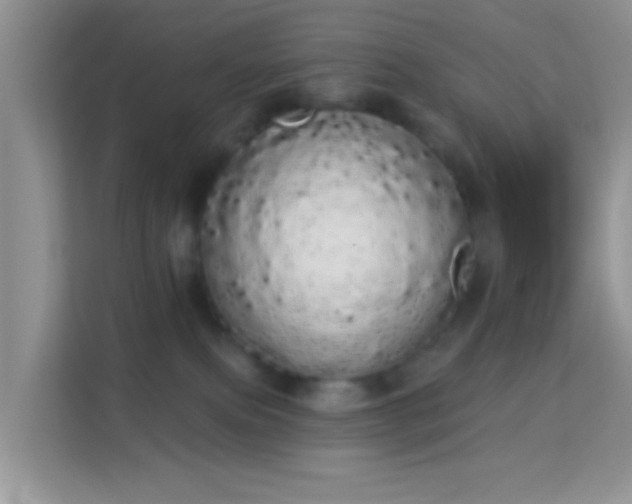 X0000113980087200910091326