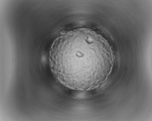 X0000113980090200910091327