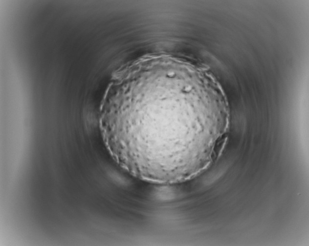 X0000113980091200910091327