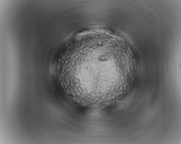 X0000113980093200910091327