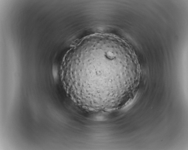 X0000113980094200910091327