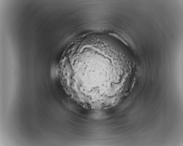 X0000113980095200910091327