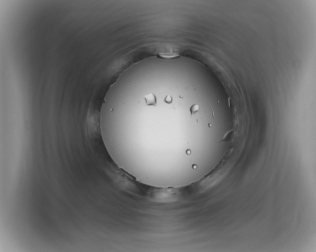 X0000113980096200910091327