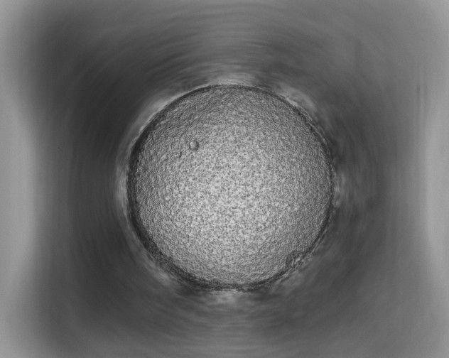 X0000113980098200910091326