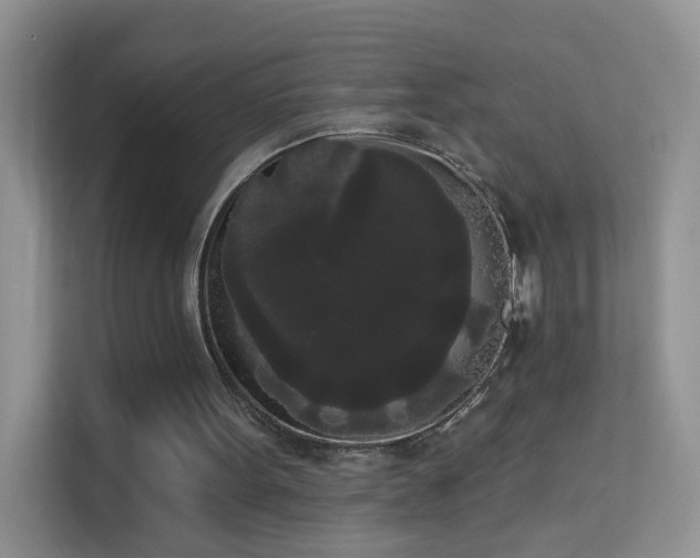 X0000113980099200910091326