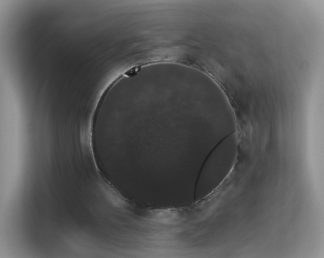 X0000113980100200910091326