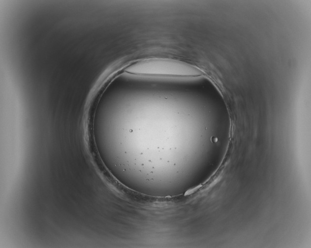 X0000113980101200910091326