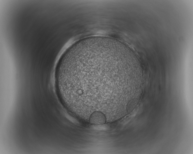 X0000113980102200910091326