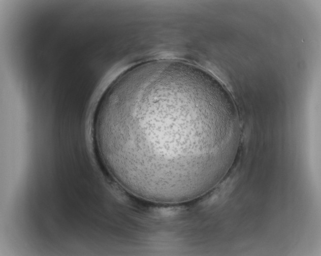 X0000113980103200910091326