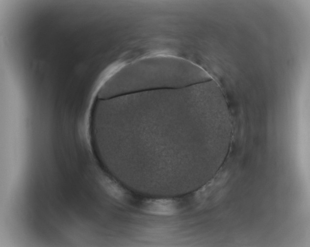 X0000113980104200910091326