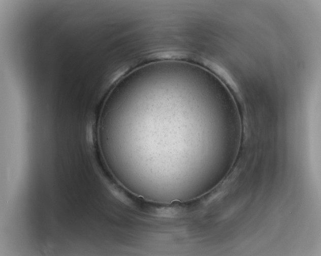 X0000113980105200910091326