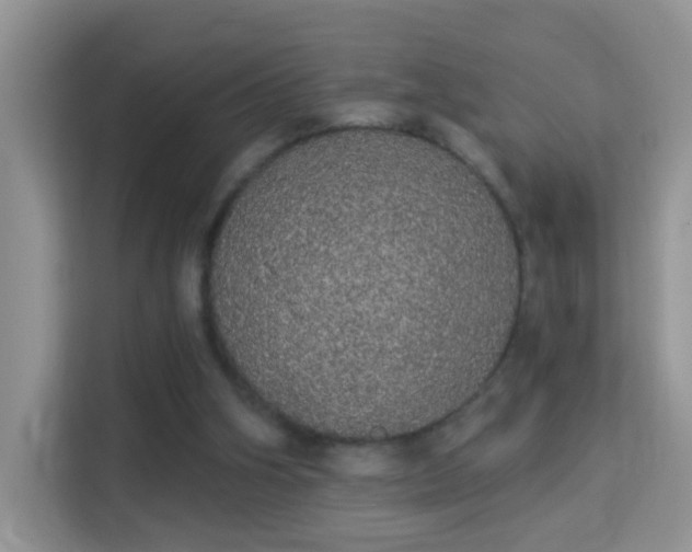 X0000113980106200910091326