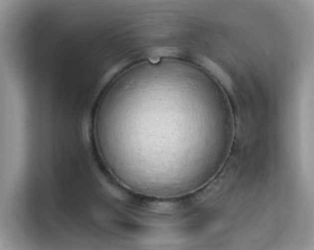 X0000113980107200910091326