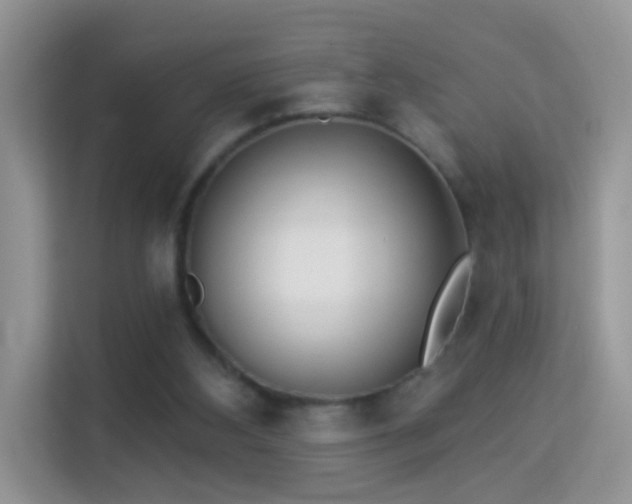 X0000113980108200910091326