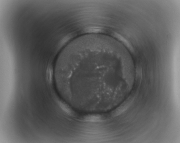 X0000113980110200910091326