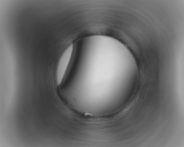 X0000113980113200910091326