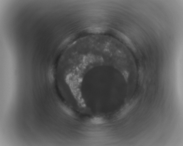 X0000113980114200910091326