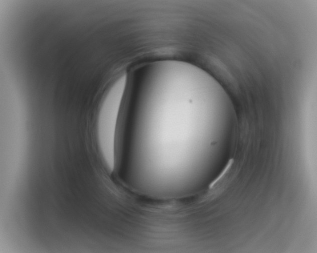 X0000113980116200910091326