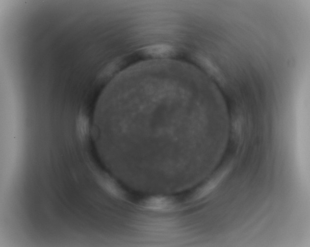 X0000113980117200910091326