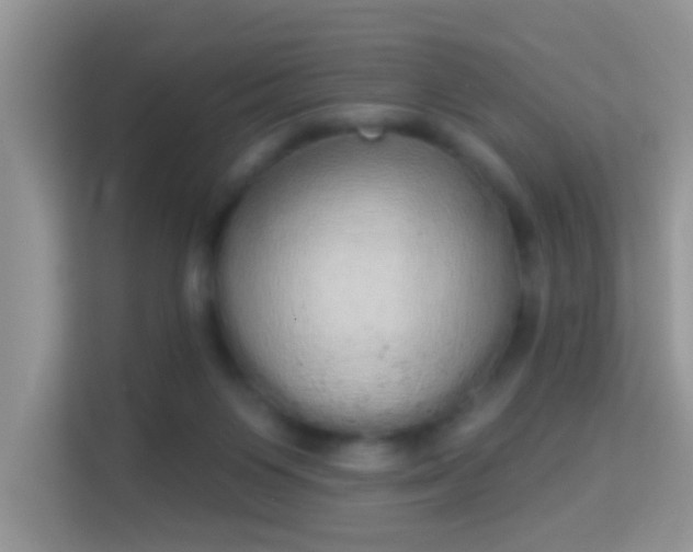 X0000113980119200910091326