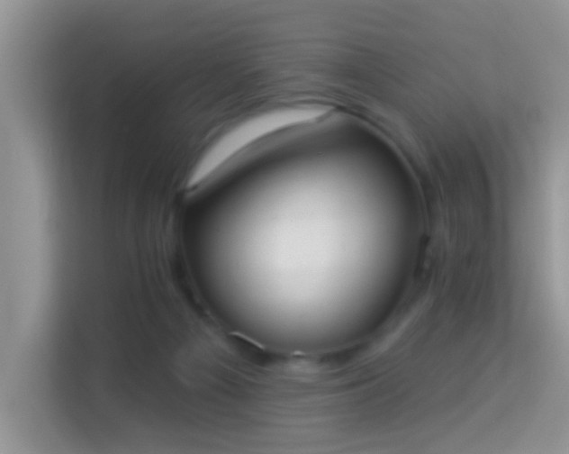 X0000113980121200910091326