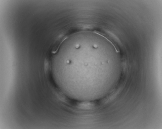 X0000113980123200910091326